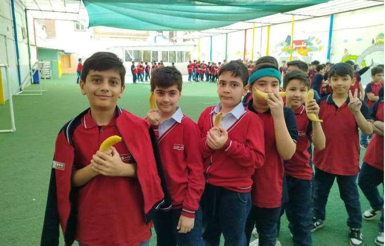 توزیع میانوعده 9