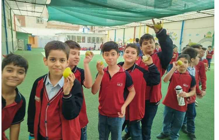 توزیع میانوعده 9