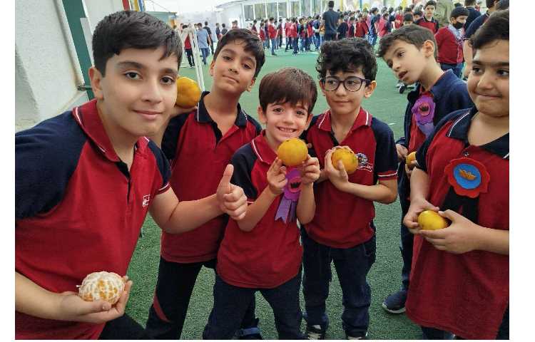 توزیع میانوعده 9