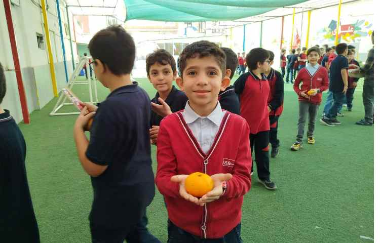 توزیع میانوعده 9