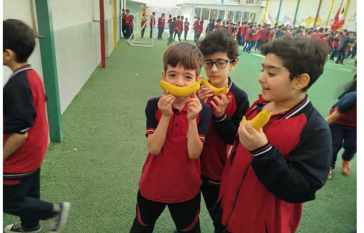 توزیع میانوعده 9