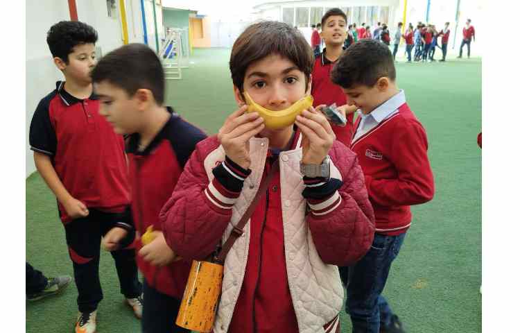 توزیع میانوعده 9