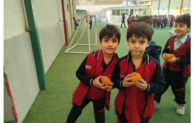 توزیع میانوعده 9