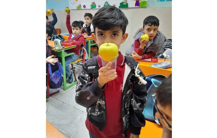 توزیع میانوعده