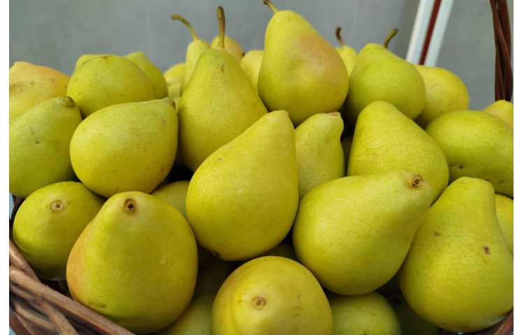 توزیع میانوعده