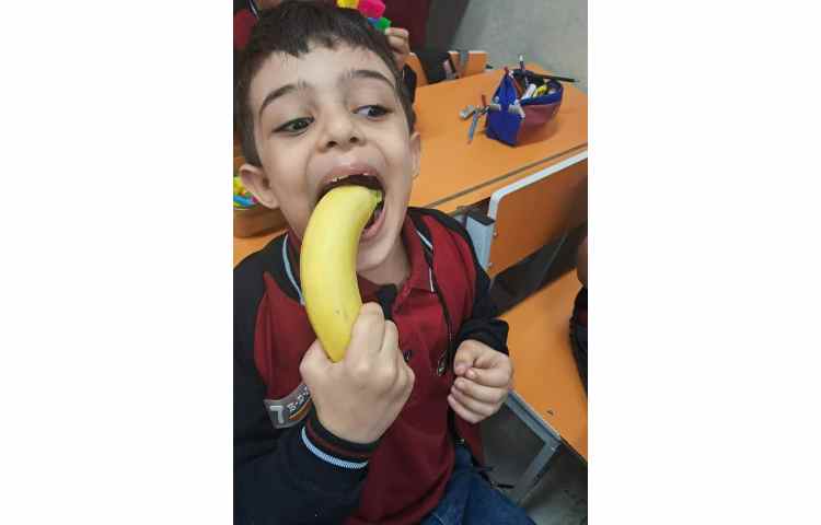 توزیع میانوعده