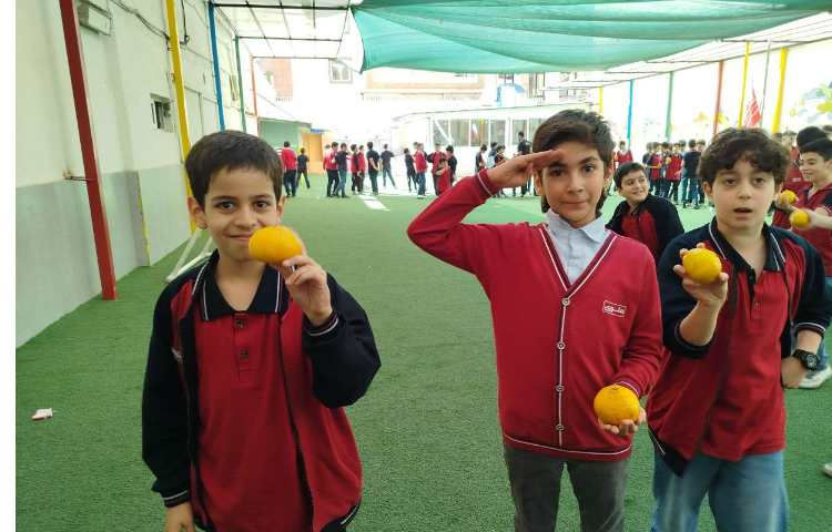 توزیع میانوعده