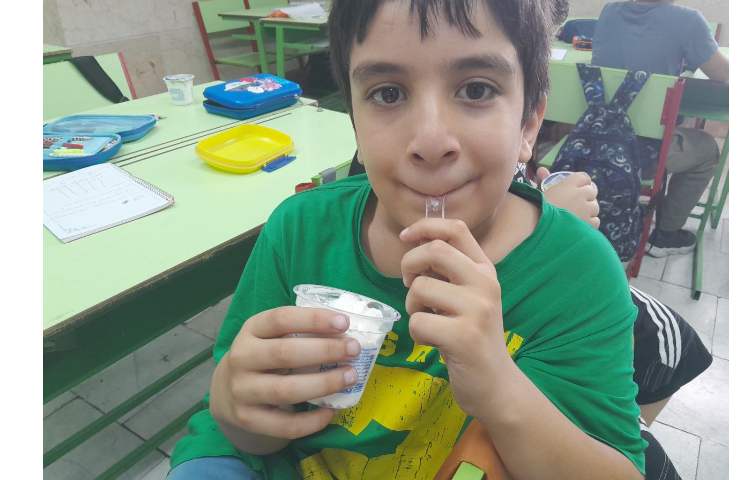 توزیع میان وعده بستنی برای تمامی کلاس ها 14