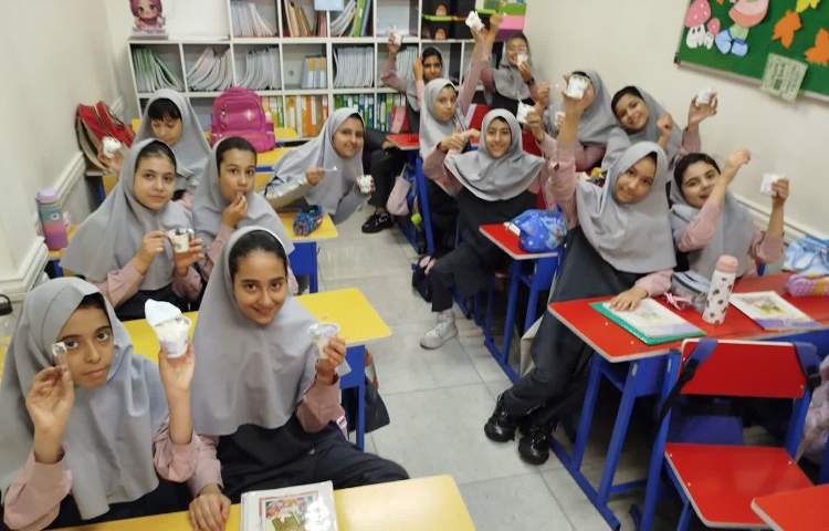 توزیع میان وعده بستنی 3