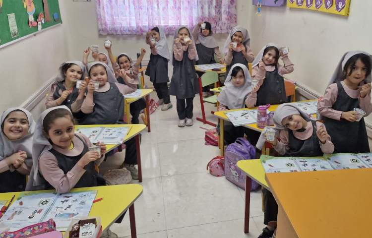 توزیع میان وعده بستنی 4