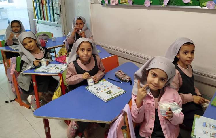 توزیع میان وعده بستنی 5