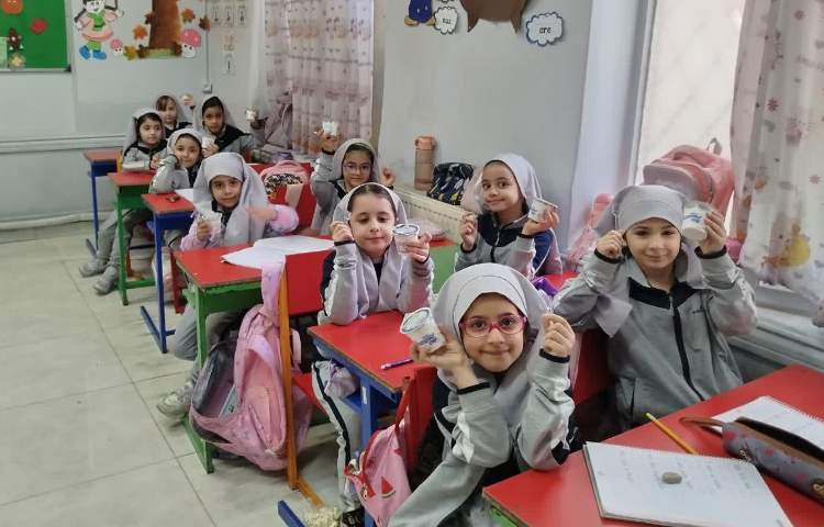 توزیع میان وعده بستنی 6