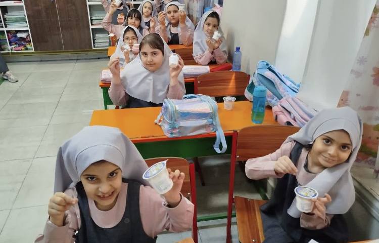 توزیع میان وعده بستنی 7