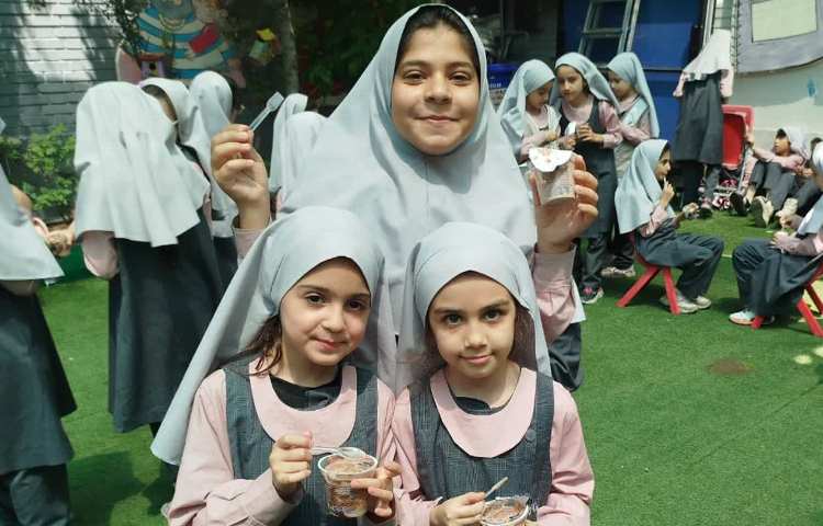 توزیع میان وعده بستنی 7