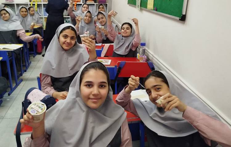 توزیع میان وعده بستنی 8