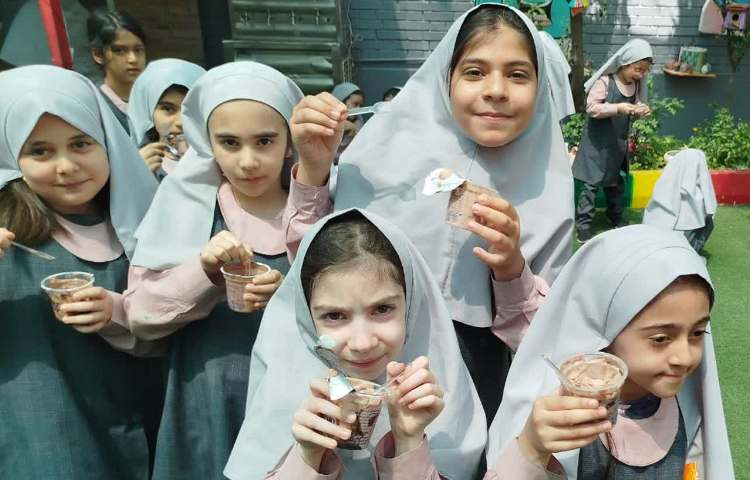 توزیع میان وعده بستنی 8