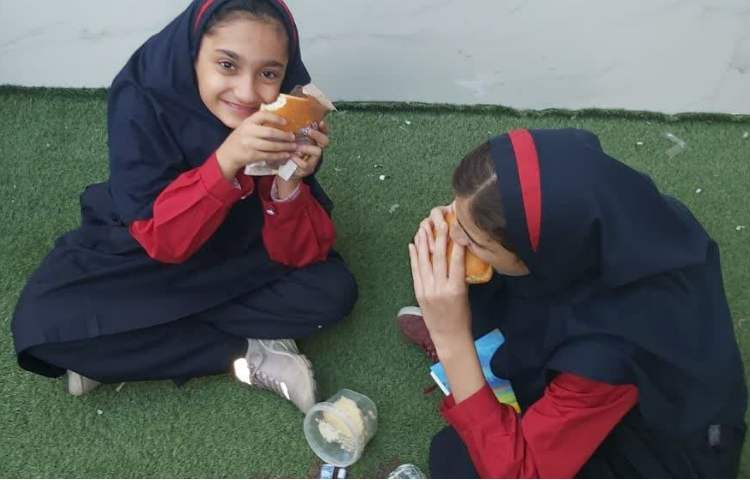 توزیع میان وعده سالم 2