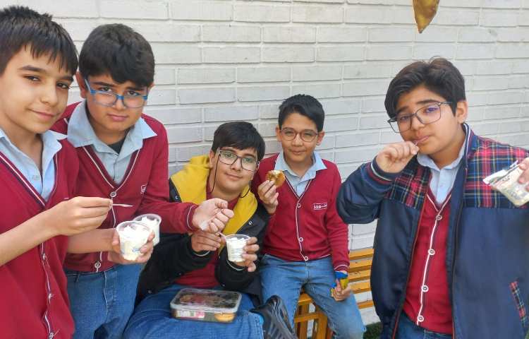 توزیع میان وعده سالم 2