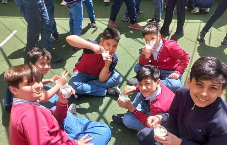 توزیع میان وعده سالم 3