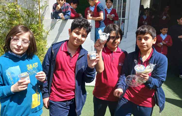 توزیع میان وعده سالم 4