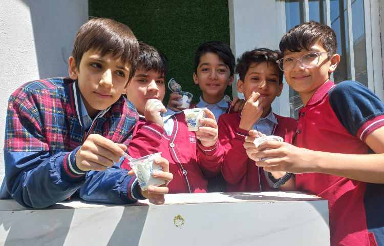 توزیع میان وعده سالم 6