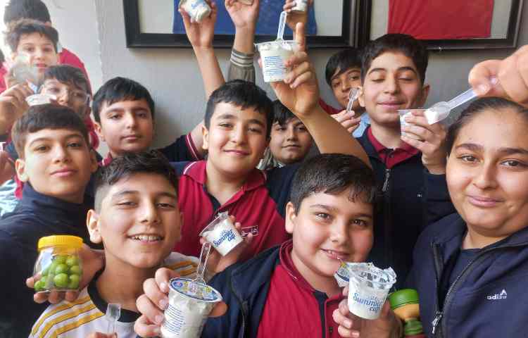 توزیع میان وعده سالم 8