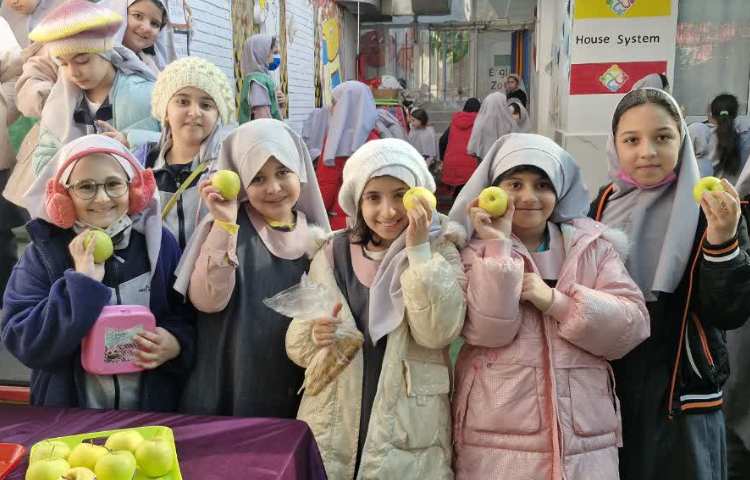 توزیع میان وعده سیب 2