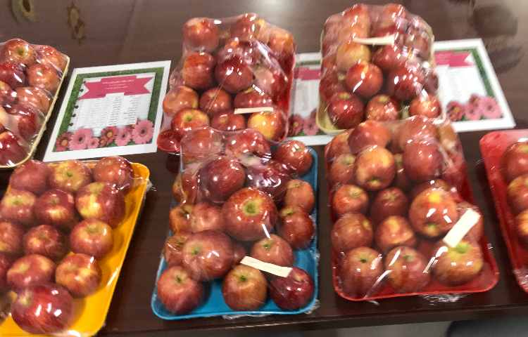 توزیع میان وعده 1