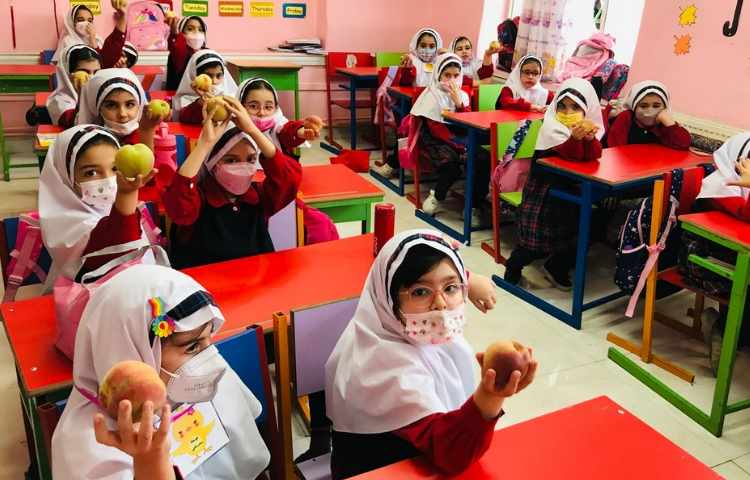 توزیع میان وعده 1