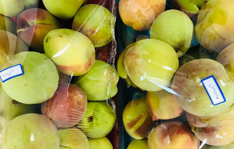 توزیع میان وعده 1