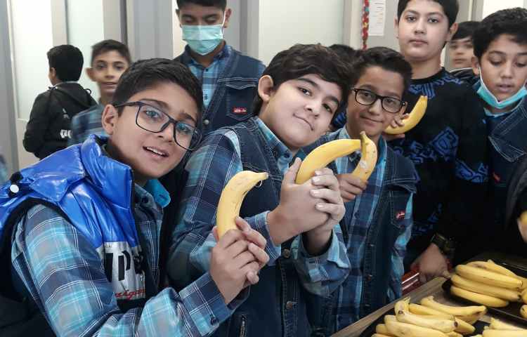 توزیع میان وعده 1