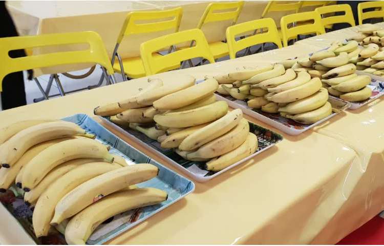 توزیع میان وعده 1