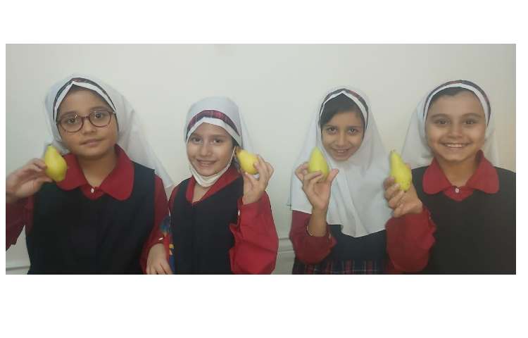 توزیع میان وعده 1