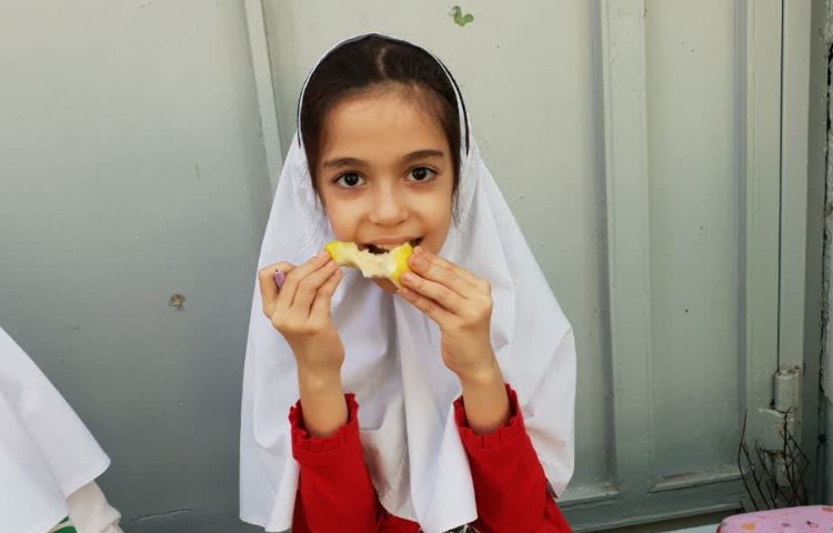 توزیع میان وعده 1