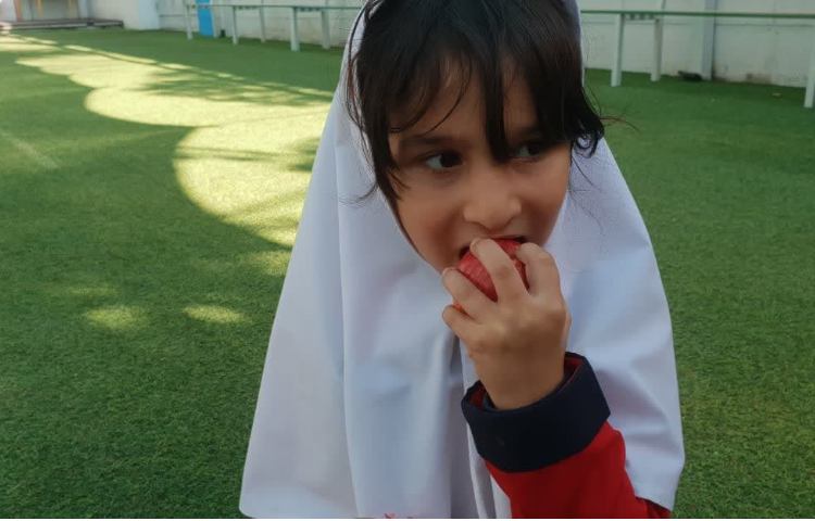 توزیع میان وعده 1