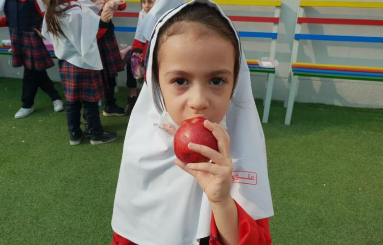 توزیع میان وعده 1