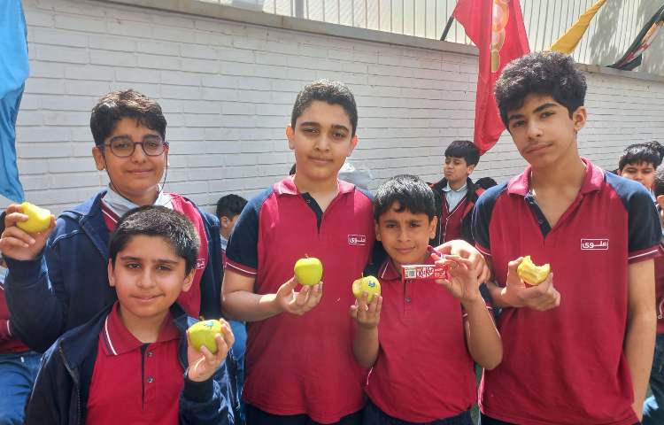 توزیع میان وعده 1