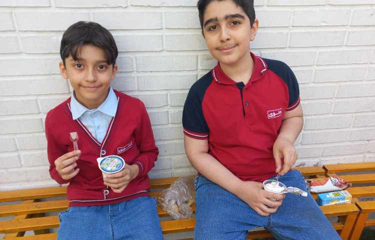 توزیع میان وعده 10