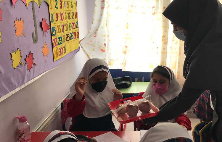 توزیع میان وعده 2