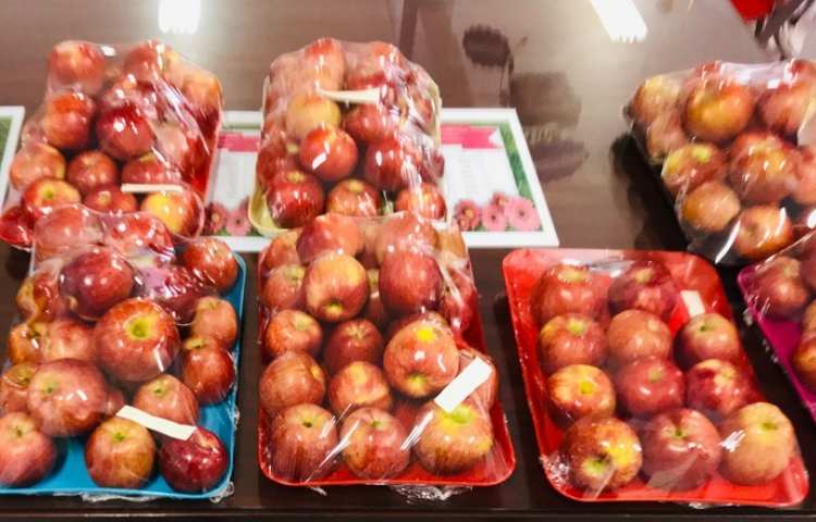 توزیع میان وعده 2