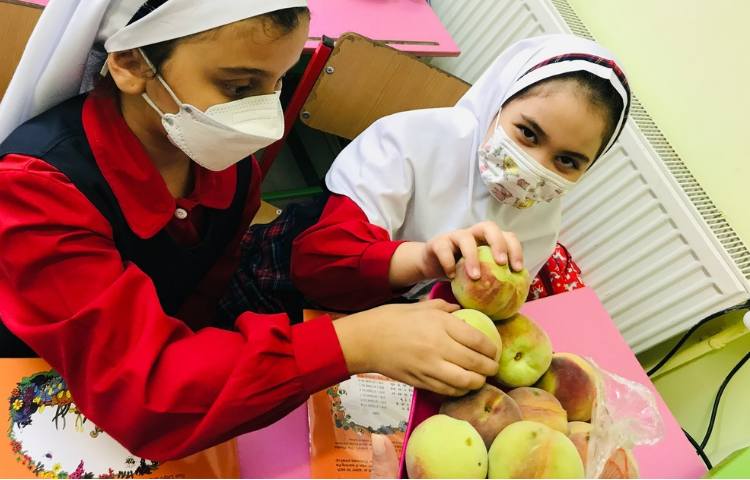 توزیع میان وعده 2