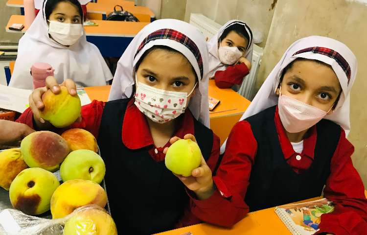 توزیع میان وعده 2