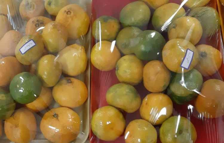 توزیع میان وعده 2