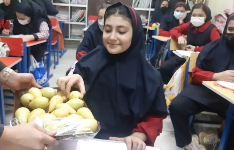 توزیع میان وعده 2