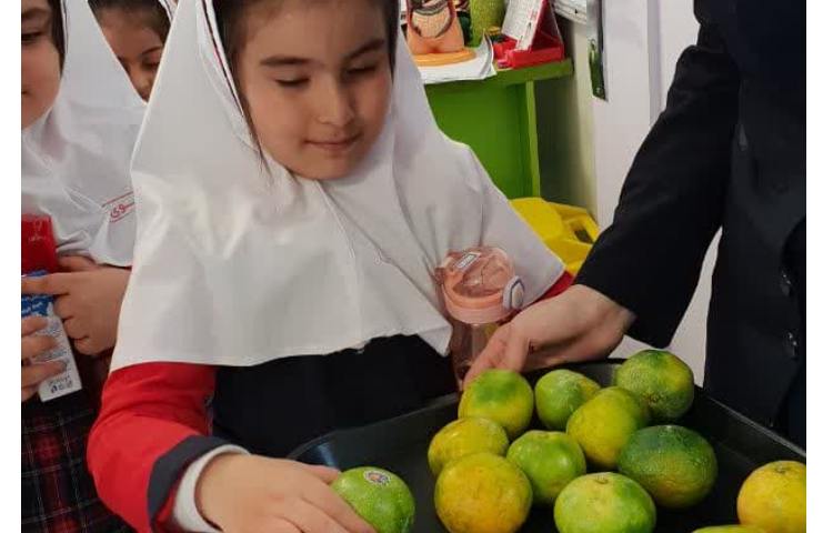 توزیع میان وعده 2