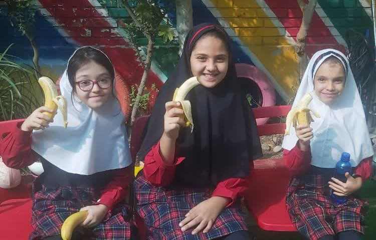 توزیع میان وعده 2