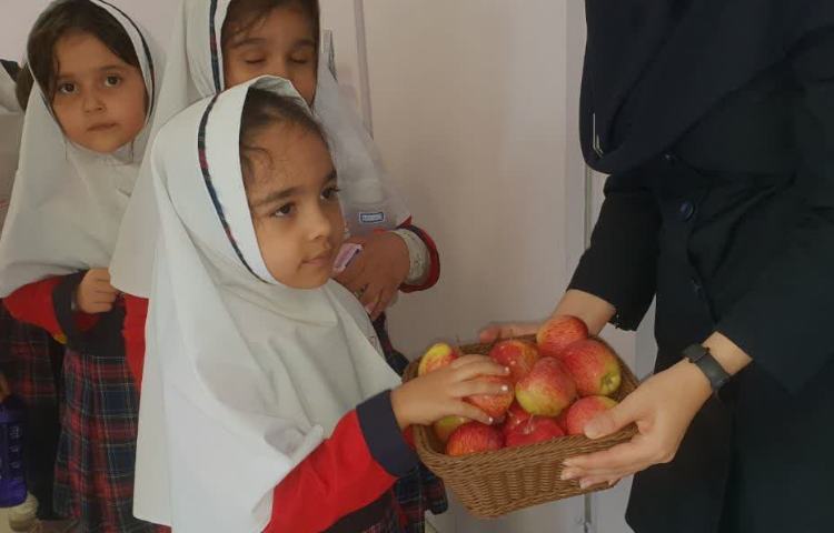 توزیع میان وعده 2