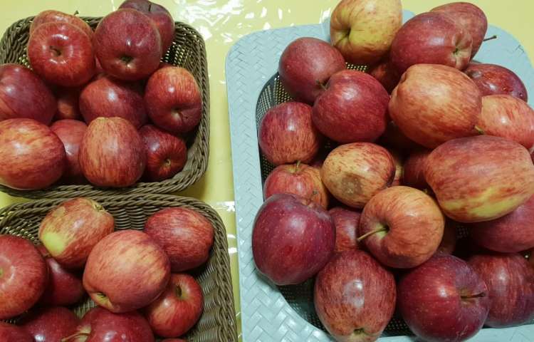 توزیع میان وعده 2