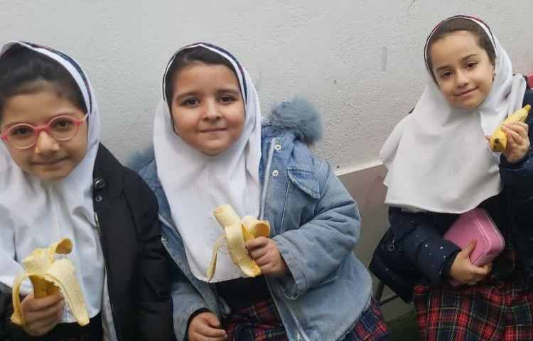 توزیع میان وعده 2