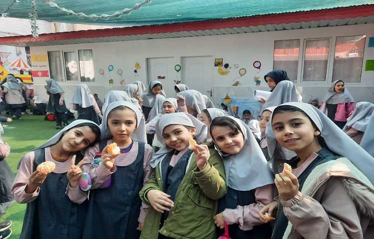 توزیع میان وعده 2